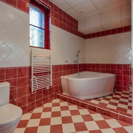 Szálloda Zlaty Orel Ostravice